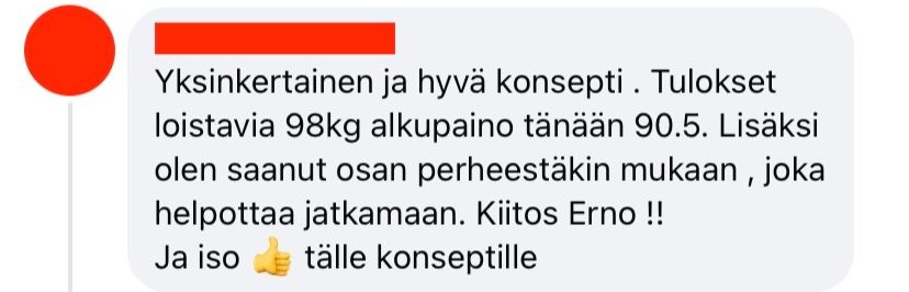 Palaute valmennuksesta